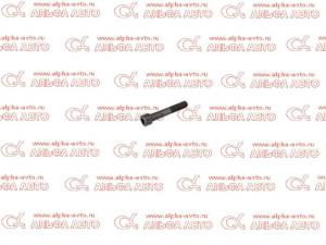 ���� ������������ M16x2x170                                                                         
