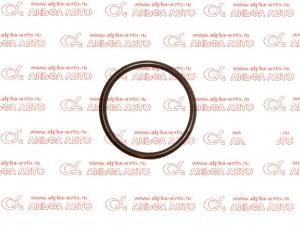 ������ �������������� Foton-1039                                                                    