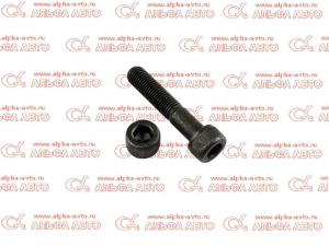 ���� M12x80 RVI                                                                                     